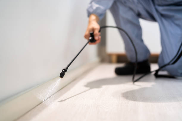 Licensed Mosquito Control service in Mount Vernon, GA - Show Me Pest Control