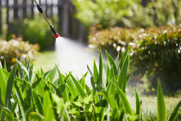 24/7 Emergency Mosquito Control experts in Mount Vernon, GA