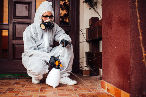 Reliable Mosquito Control contractor in Mount Vernon, GA by Show Me Pest Control