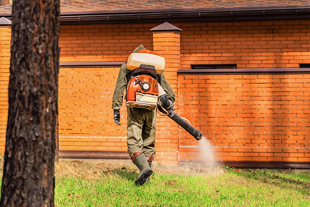 Top rated local Mosquito Control specialists in Mount Vernon, GA